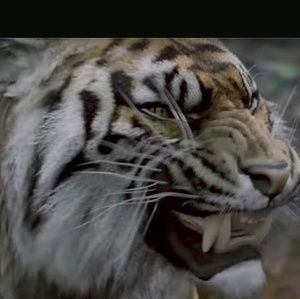 Meet your Posher, Cathy